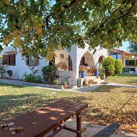 Villa Achilleas Nea Kallikrateia المظهر الخارجي الصورة